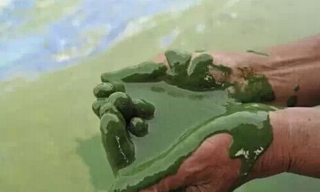 3.jpg 3.jpg
